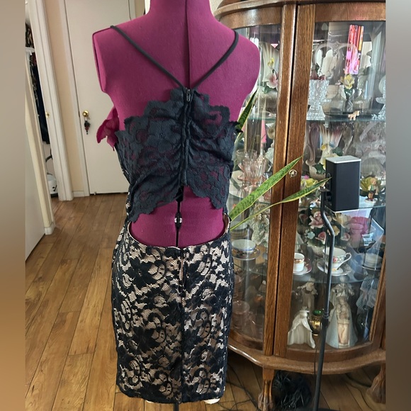 Windsor Lacy Nude Colored Dress With Black Lace Overlay. - Picture 3 of 5